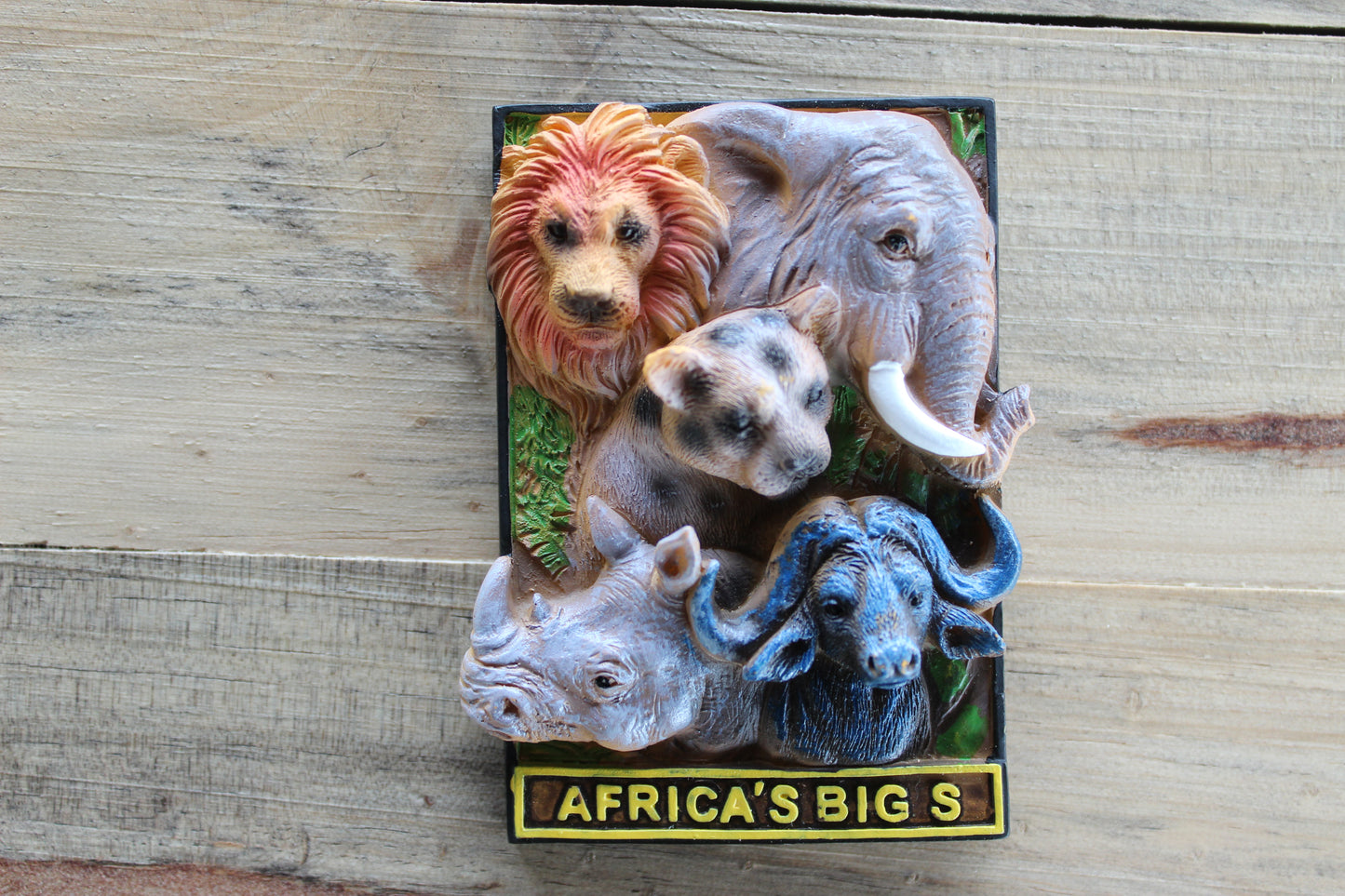 SA Fridge Magnets